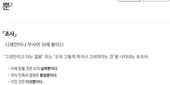 조사 '뿐'에 대한 사전의 정의