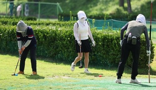 파크골프 인기
