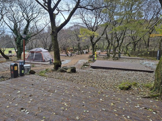 관음사 야영장 데크