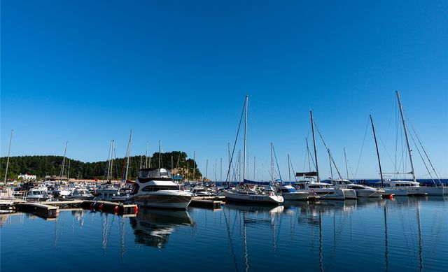 강원 양양 수산마을