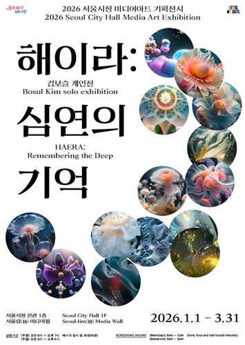 '해이라: 심연의 기억' 전시 포스터