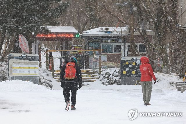 지난 26일 대설특보에 한라산 입산 전면통제