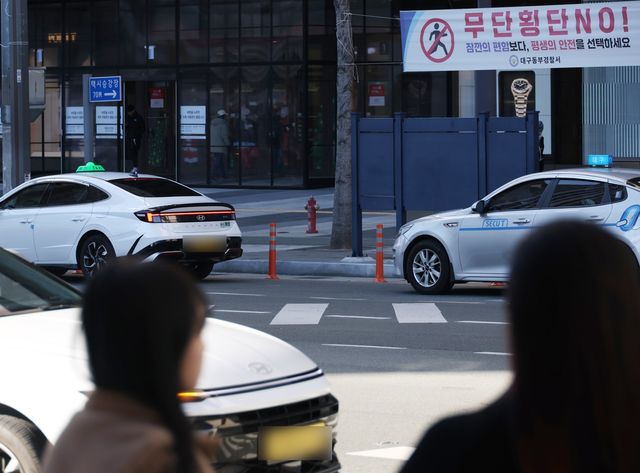 '횡단보도에 정차한 택시'