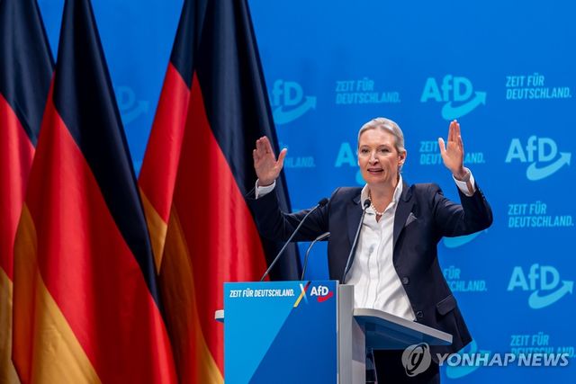 알리스 바이델 독일대안당(AfD) 대표