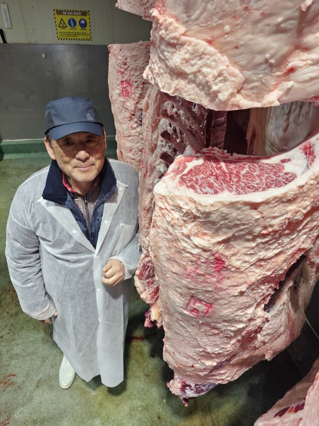 제주 역대 최고 등심 단면적 기록한 한우 거세우