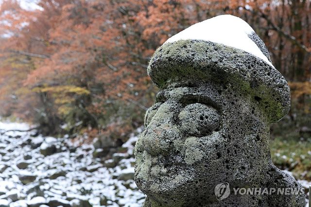 눈 모자 쓴 돌하르방