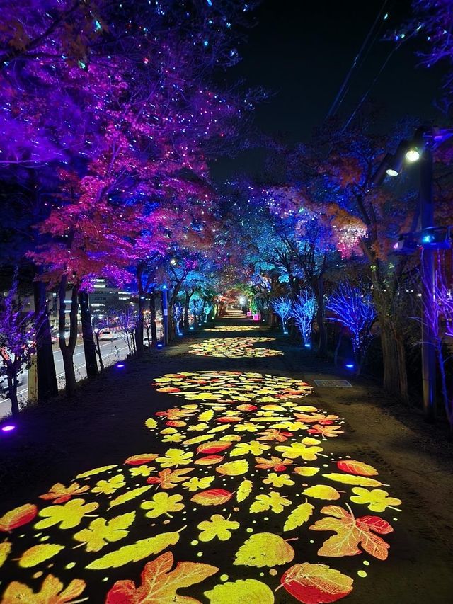 단풍잎이 흩날리는 '단풍길' 조명