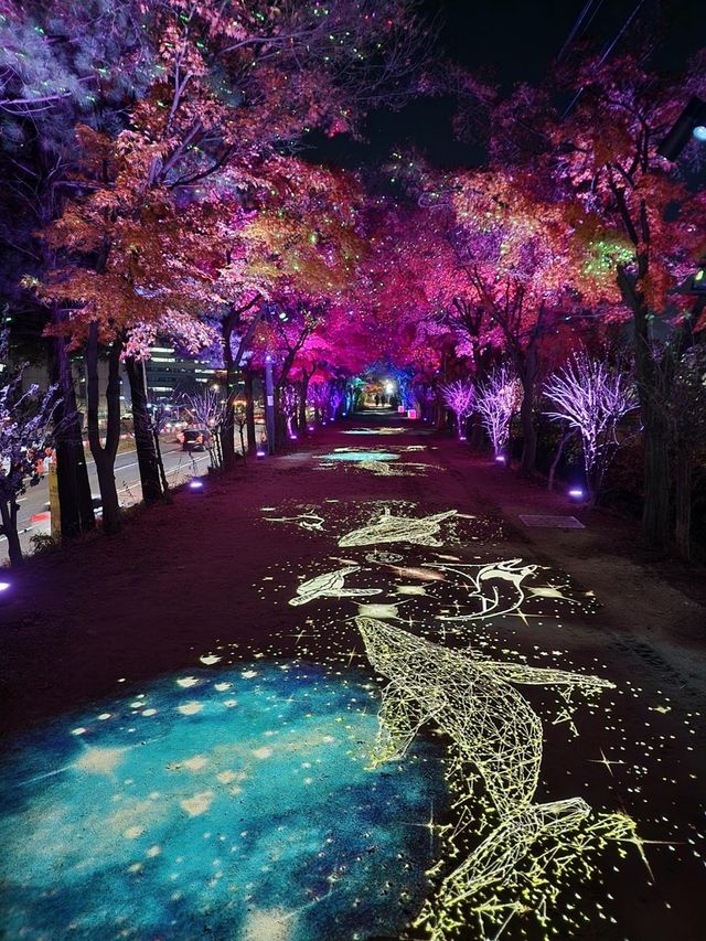 '밤하늘을 유영하는 고래' 조명 