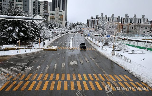 제설의 달인 강릉시…말끔한 도로