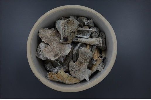 고(故) 정용환 일병의 유해