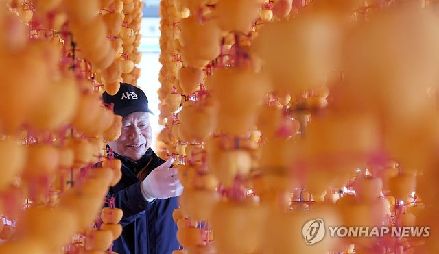 쫄깃쫄짓 산청 곶감