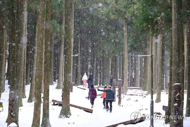 눈 내리는 숲길 걷기