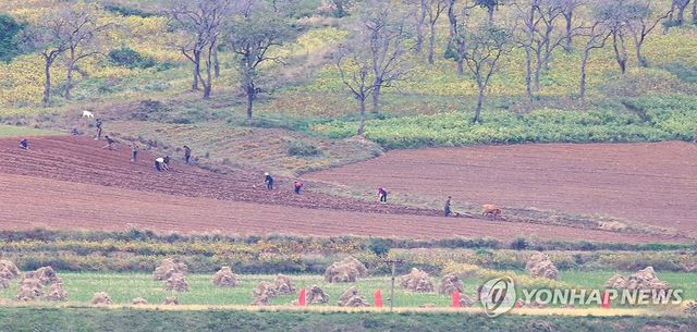 밭일하는 북한 주민들