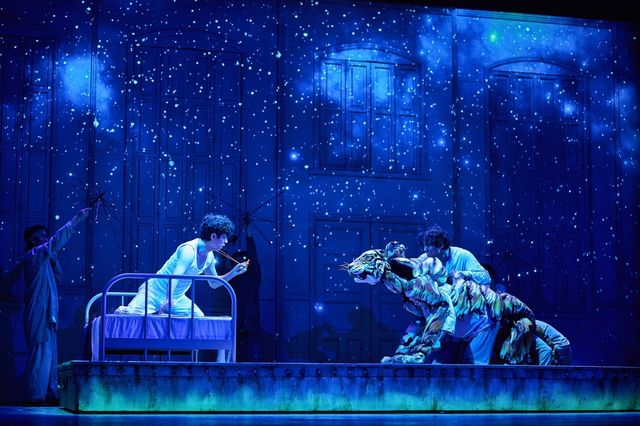 공연 '라이프 오브 파이'