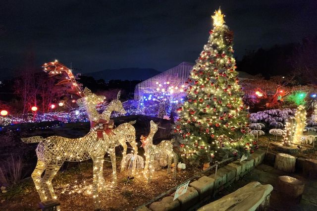 진해보타닉뮤지엄