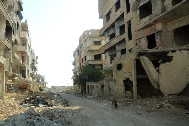 재건 갈망하는 시리아