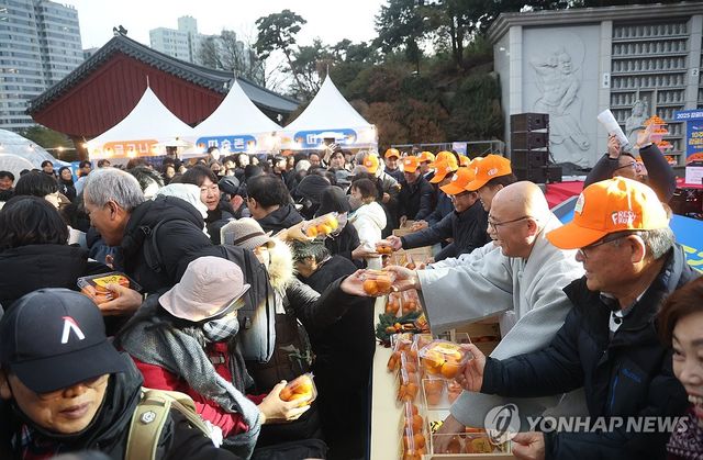 제주 감귤의 인기