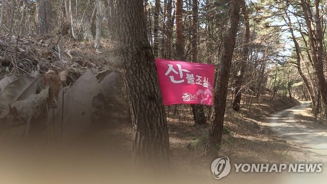 건조한 날씨에 산불 '초비상'(CG)