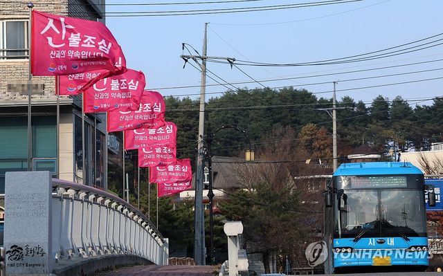 건조특보에 강풍특보까지…강원 동해안 '산불조심'
