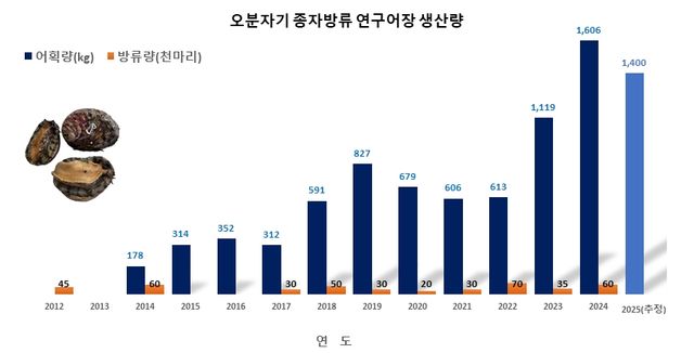 오분자기 종자방류 연구어장 생산량