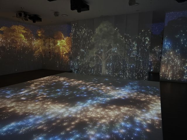 미디어 아트 전시 '정이품송, 시간을 품다'