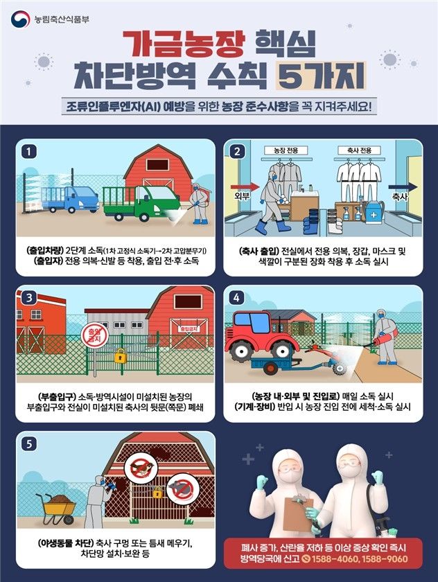 전남 영암 오리 농장서 H5형 조류인플루엔자 확인 - 2