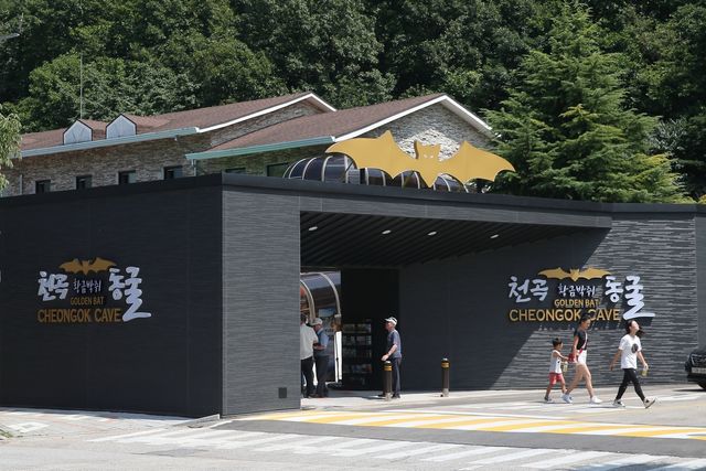 천곡황금박쥐동굴