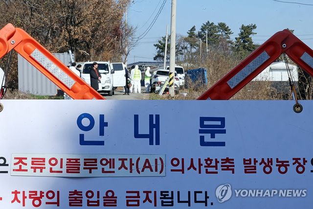 조류인플루엔자 발생