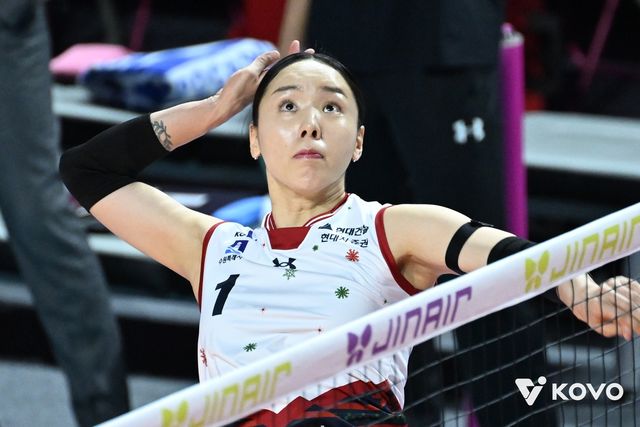 현대건설 이예림