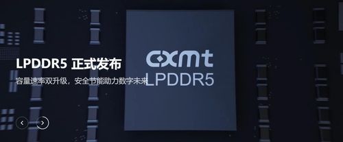 창신메모리테크놀로지(CXMT)의 반도체 제품