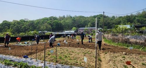 구로구 주말농장