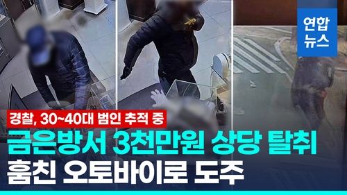 [영상] "얼마죠?" 계산기 두드리는 찰나…금팔찌·금목걸이 움켜쥐고 - 2