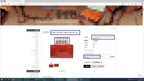 특별단속 적발된 업소 홈페이지