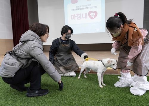 입양 활성화 프로젝트 '마침내짝' 