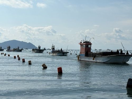 불법 양식시설물 정비