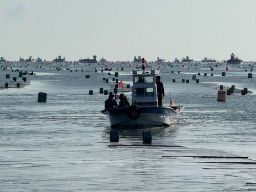 불법 양식시설물 정비