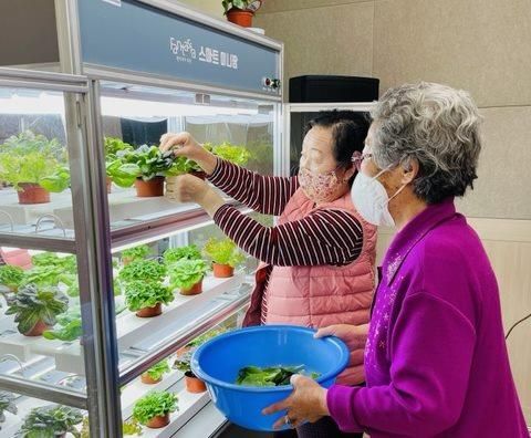 부천 스마트경로당 내 스마트팜