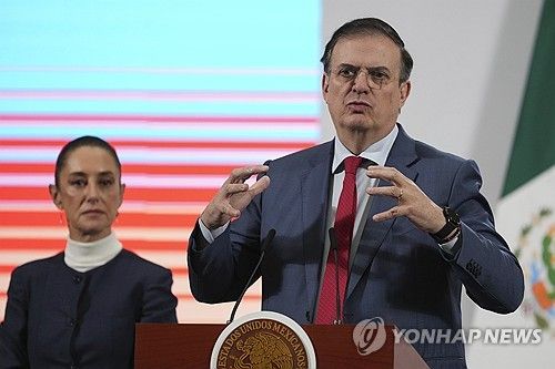 발언하는 멕시코 경제부 장관