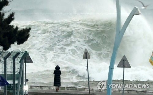 너울성 파도치는 강릉 해안도로