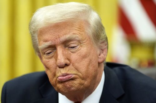 도널드 트럼프 미국 대통령