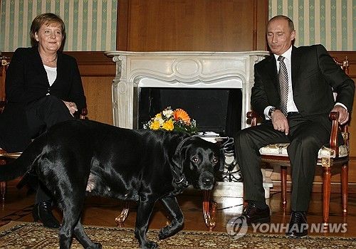 앙겔라 메르켈 총리(왼쪽) 앞에 개 풀어놓은 푸틴 대통령(2007년)