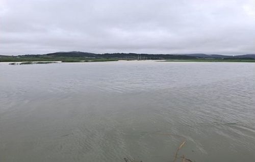 침수된 봉리지구 농경지