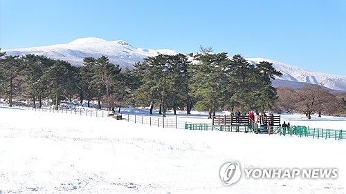한라산의 겨울