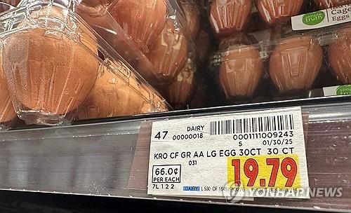 [연합뉴스 자료사진]