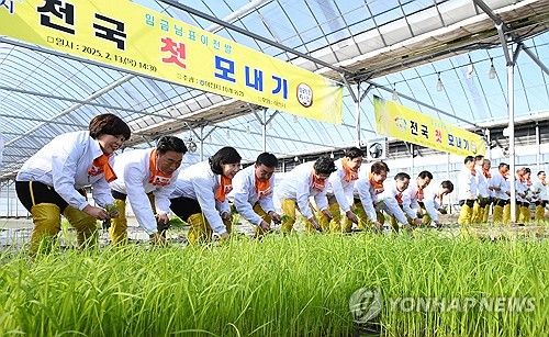전국 첫 모내기