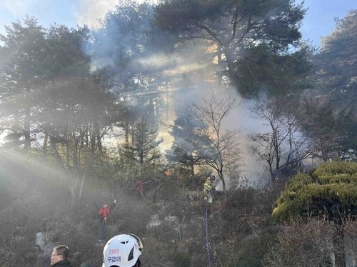 야산으로 번진 강릉 주문진읍 주택 화재