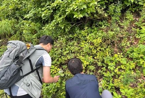 백두대간서 자생식물 종자 수집하는 백두대간식물원 직원