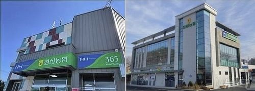 청산농협(좌)과 대청농협