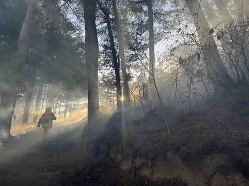 야산으로 번진 강릉 주문진읍 주택 화재