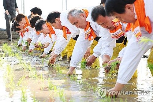 2월에 하는 모내기